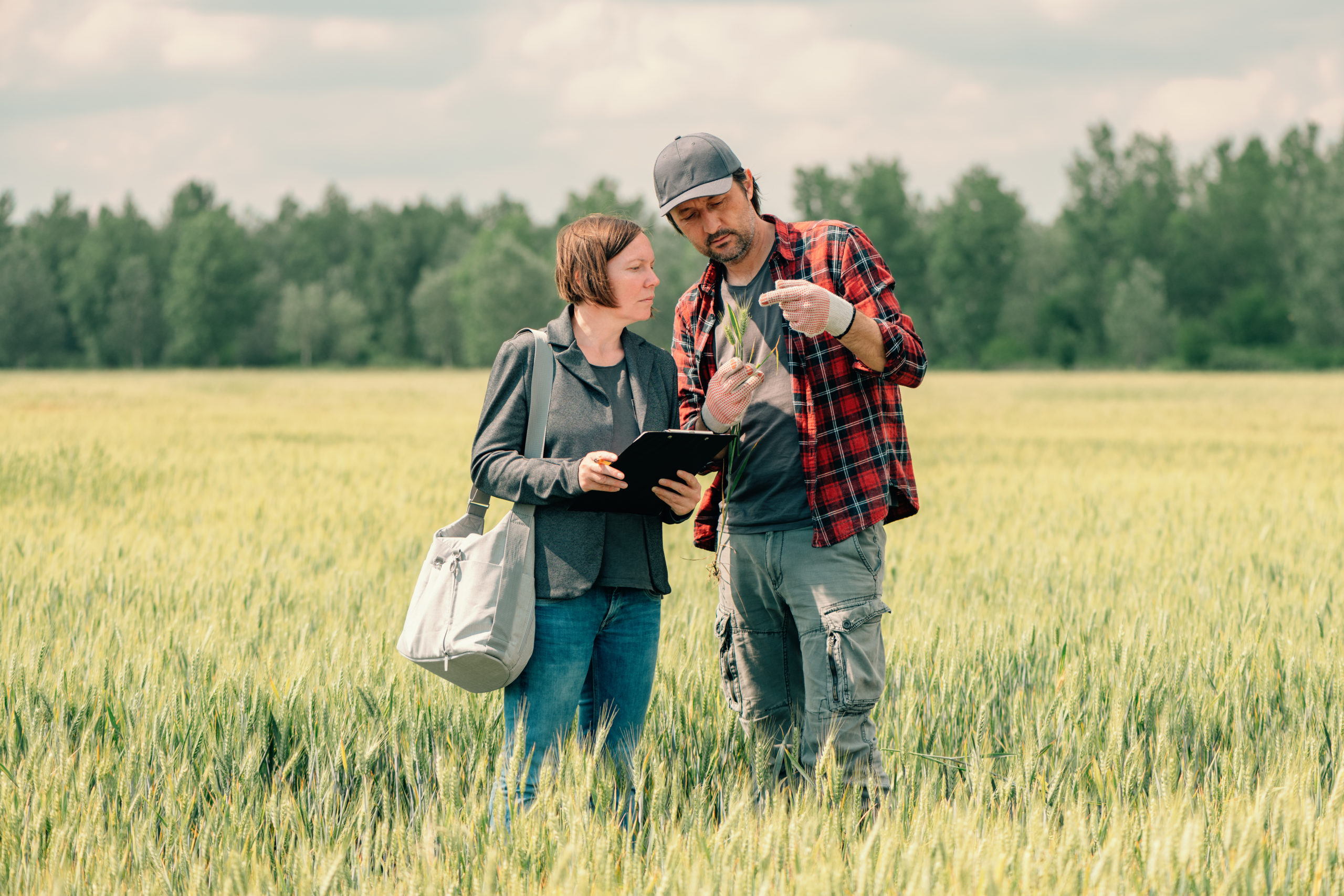 Mortgage loan officer assisting farmer in financial allowance ap